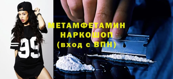 прущие грибы Елабуга