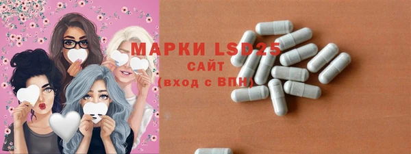 прущие грибы Елабуга
