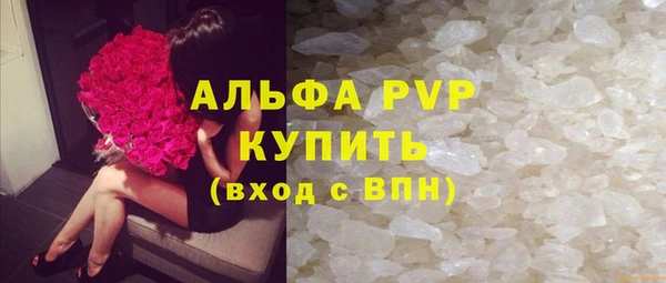 прущие грибы Елабуга