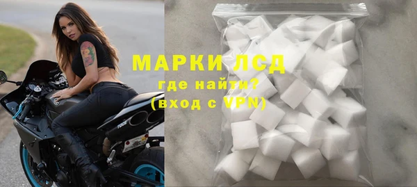 прущие грибы Елабуга