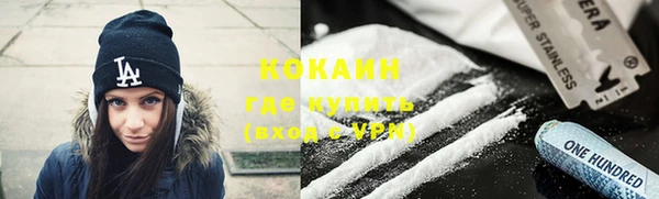 прущие грибы Елабуга