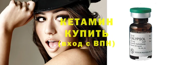 прущие грибы Елабуга