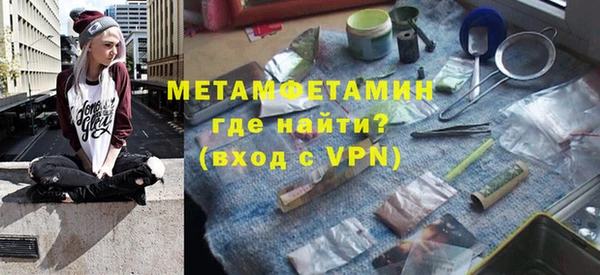 прущие грибы Елабуга