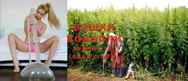 прущие грибы Елабуга
