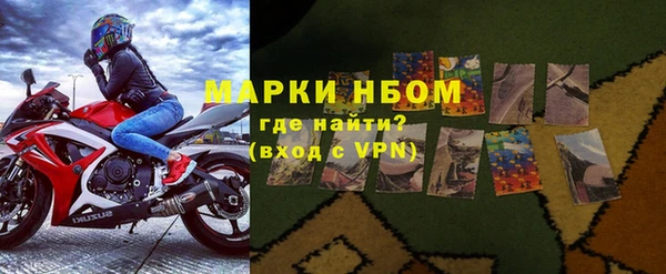 прущие грибы Елабуга