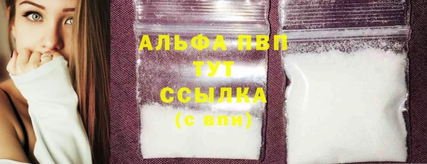 прущие грибы Елабуга