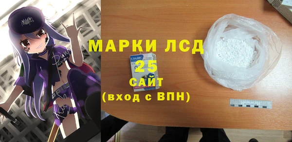 прущие грибы Елабуга