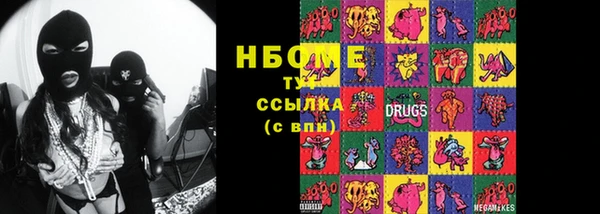 прущие грибы Елабуга