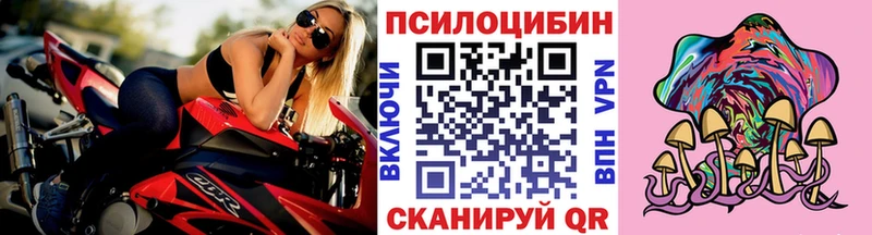 Псилоцибиновые грибы ЛСД  дарнет шоп  Ессентуки 