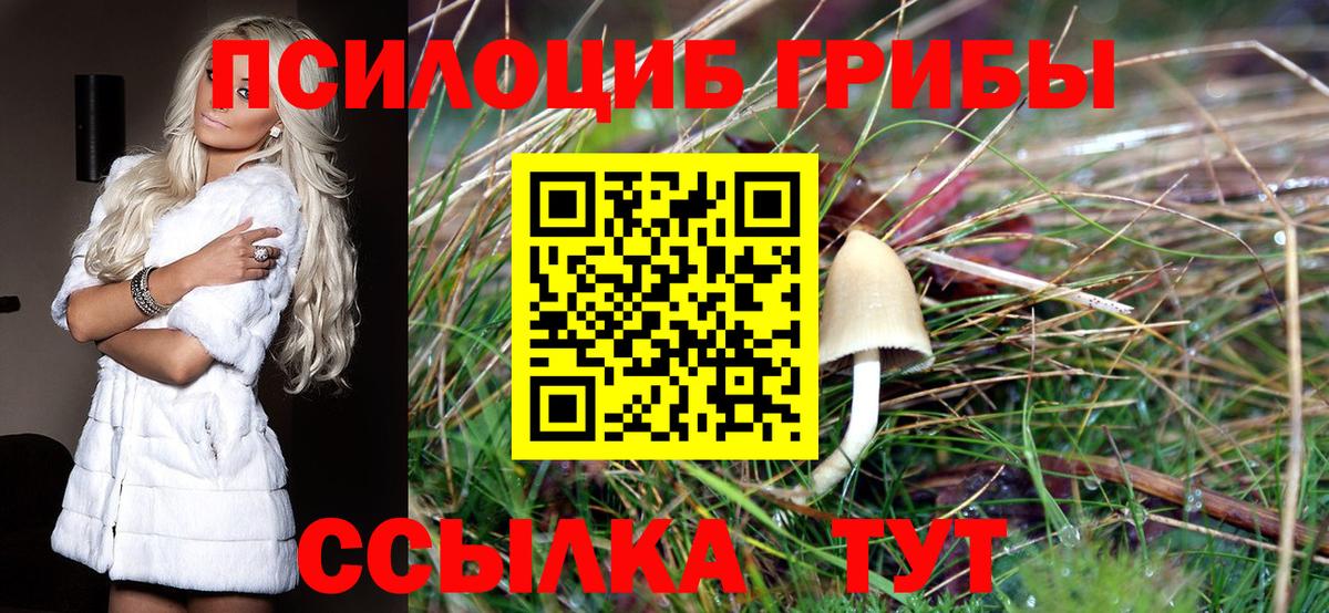 Псилоцибиновые грибы ЛСД  Ессентуки  Галлюциногенные грибы мицелий 