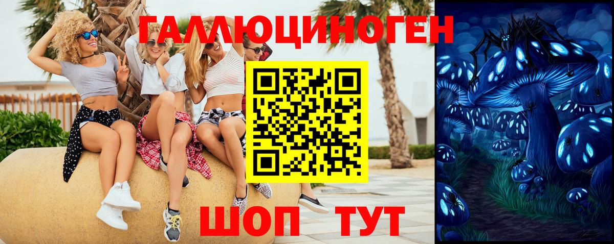 Псилоцибиновые грибы ЛСД Ессентуки