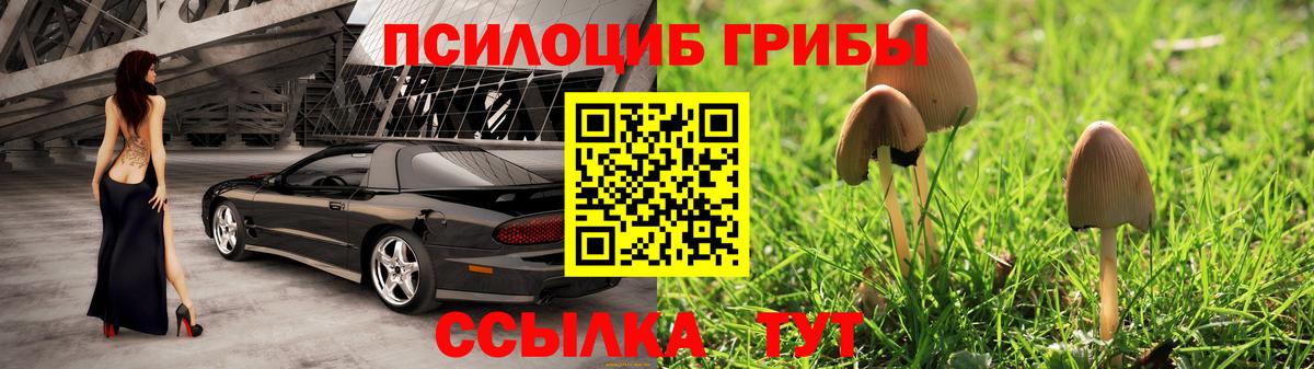 Ессентуки  Галлюциногенные грибы мухоморы  даркнет сайт  Вход с VPN 