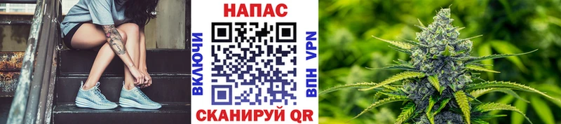 Бошки Шишки MAZAR  где купить   Ессентуки 